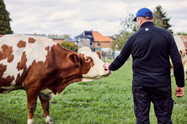 tievis hoeve
